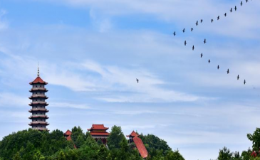 湖北大冶湖高新技術(shù)產(chǎn)業(yè)投資有限公司融資租賃項目